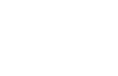 fortinent-logo